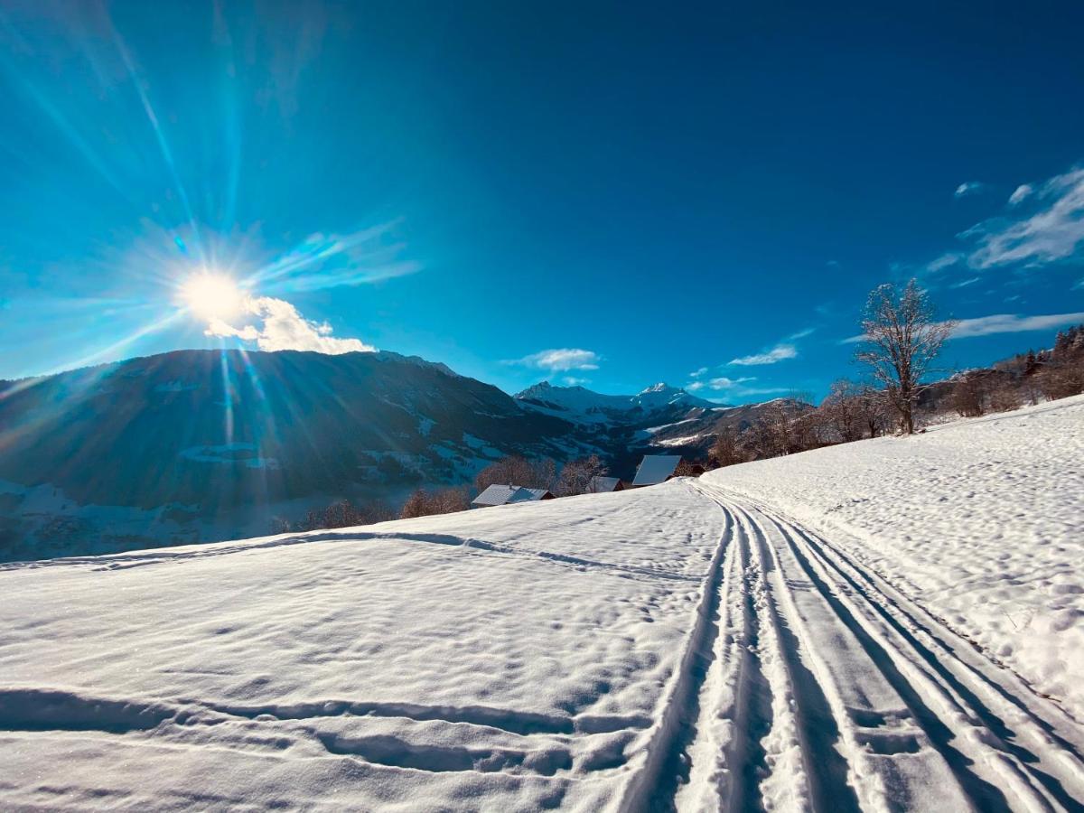 Chalet Confidentiel Valmorel - Chalet De Haut De Gamme 4 Etoiles 12 Personnes Doucy ภายนอก รูปภาพ