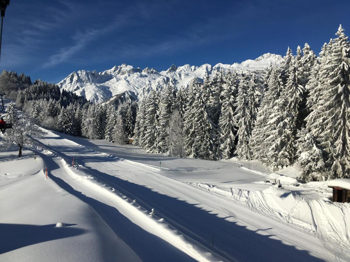 Chalet Confidentiel Valmorel - Chalet De Haut De Gamme 4 Etoiles 12 Personnes Doucy ภายนอก รูปภาพ