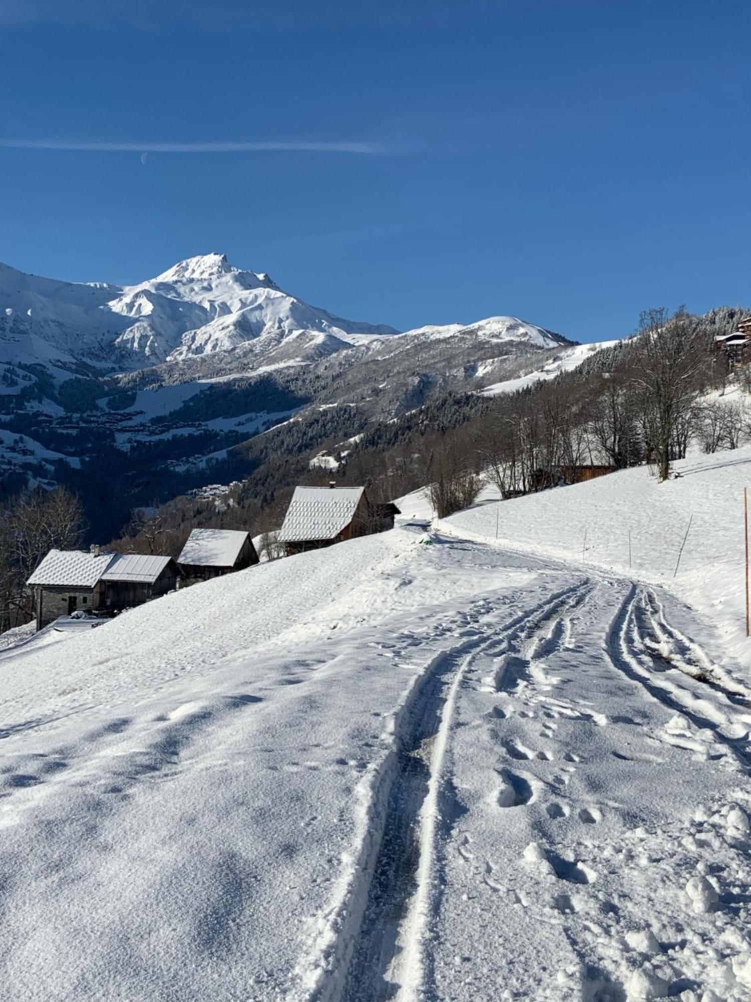 Chalet Confidentiel Valmorel - Chalet De Haut De Gamme 4 Etoiles 12 Personnes Doucy ภายนอก รูปภาพ